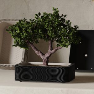 Vaso Japandi Bonsai